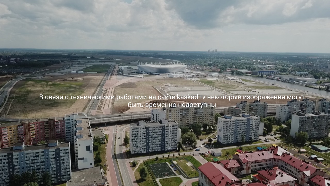 Под Зеленоградском у хозяина конопляного поля украли урожай