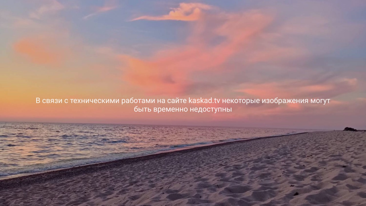 Они проснулись! Калининградцы стали находить на себе клещей