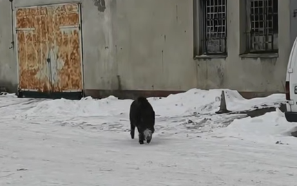 2026 01 20 18 45 31