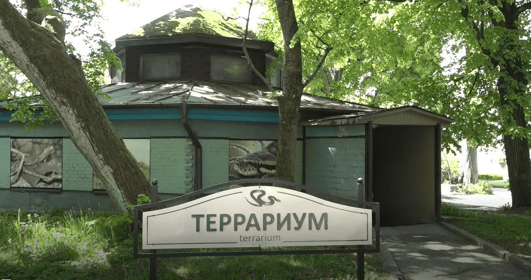террариум