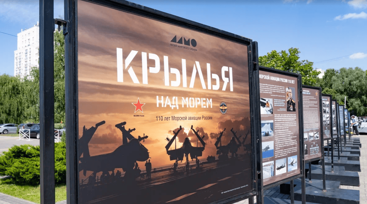 крылья над морем