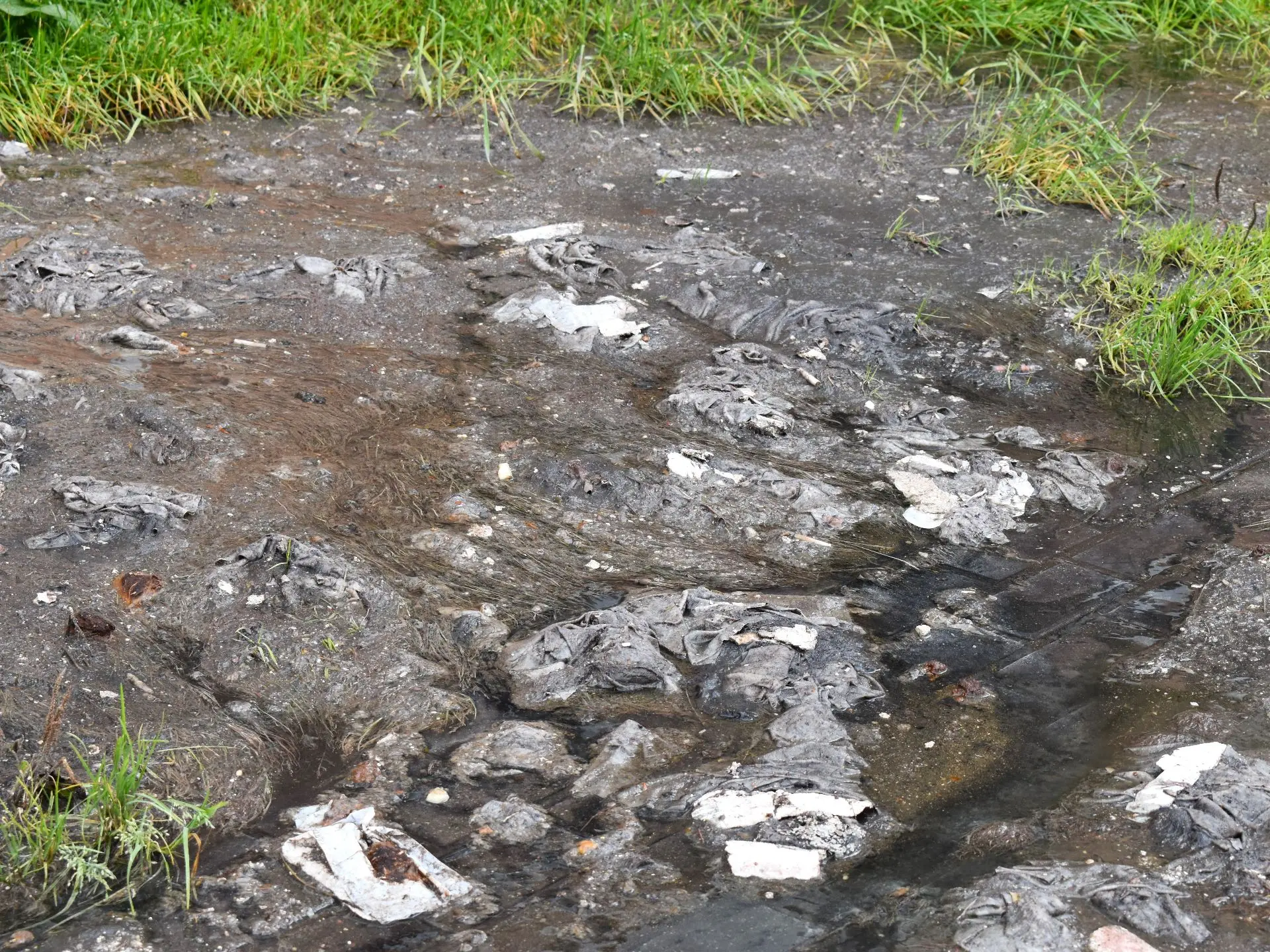 Влажные салфетки, памперсы и строительный мусор: в «Водоканале» показали, что калининградцы выбрасывают в канализацию