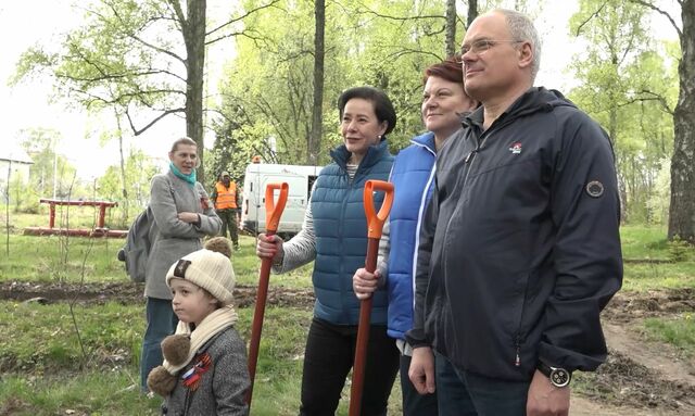 дятлова деревья 9922443434